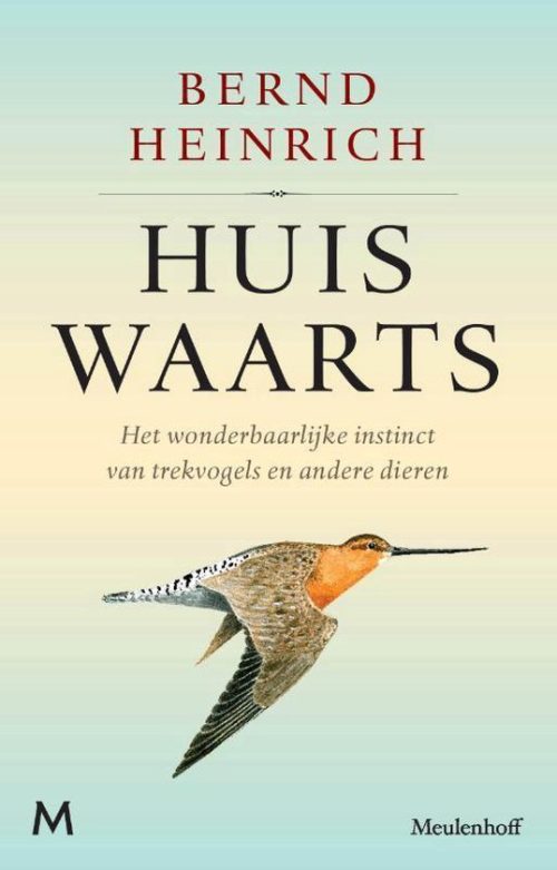 Huiswaarts, Bernd Heinrich