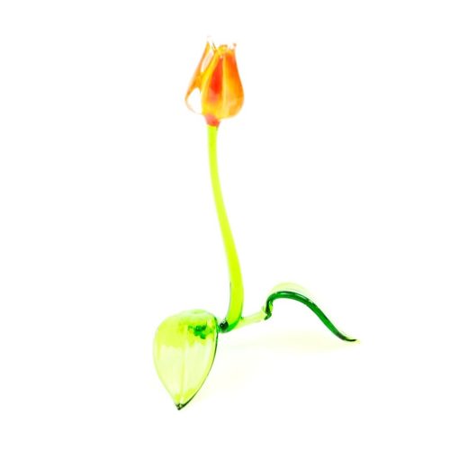 Tulp Groot Oranje (15-18 cm) Glas Loranto*