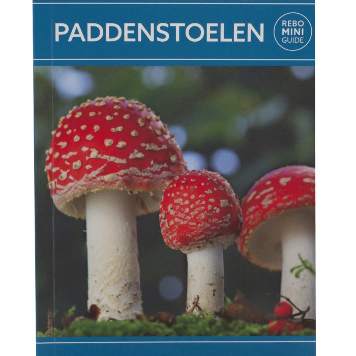 Paddenstoelen | Rebo Mini Guide