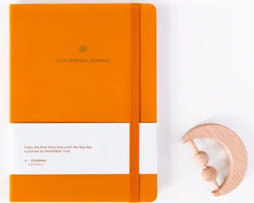 Nine Months Journal