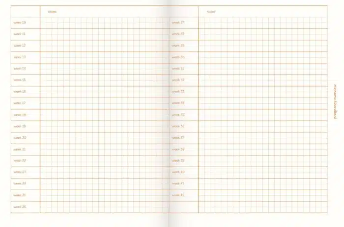 Nine Months Journal