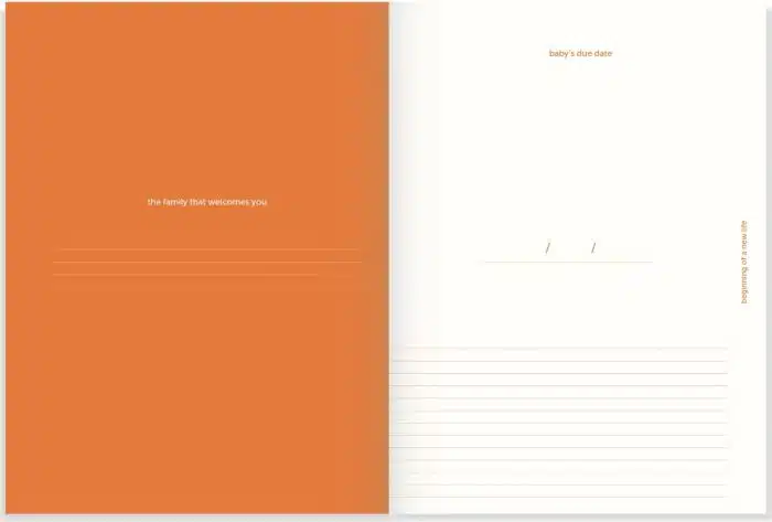 Nine Months Journal