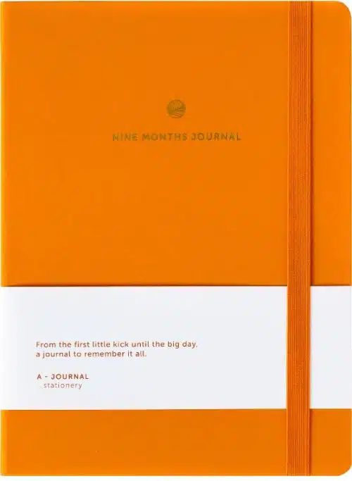Nine Months Journal