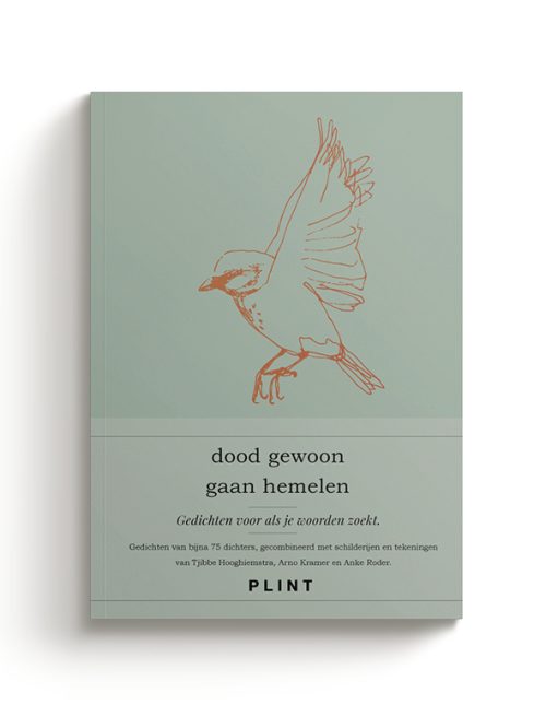 Dood Gewoon Gaan Hemelen/ Plint