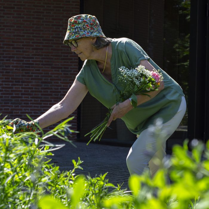 Tuinhandschoenen Toorop