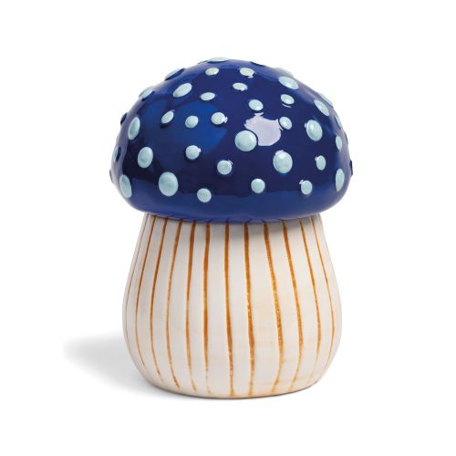 Jar Magic Mushroom | Medium *