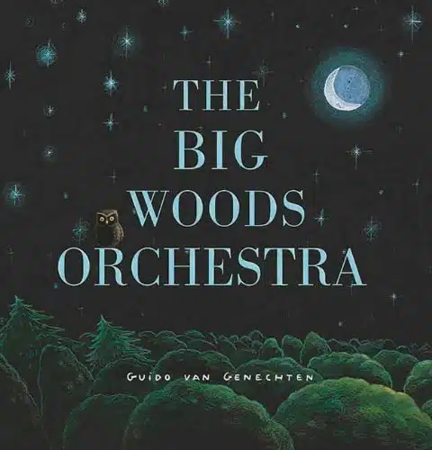 The Big Woods Orchestra