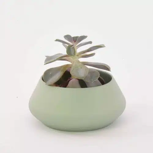 Plantenbak