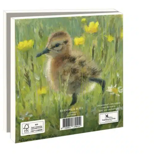 Kaartenmapje | Lente