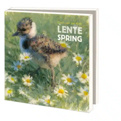 Kaartenmapje | Lente
