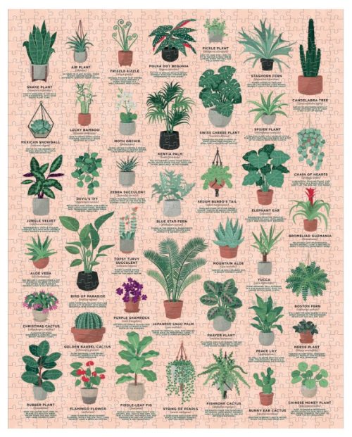 House Plants | Puzzel
