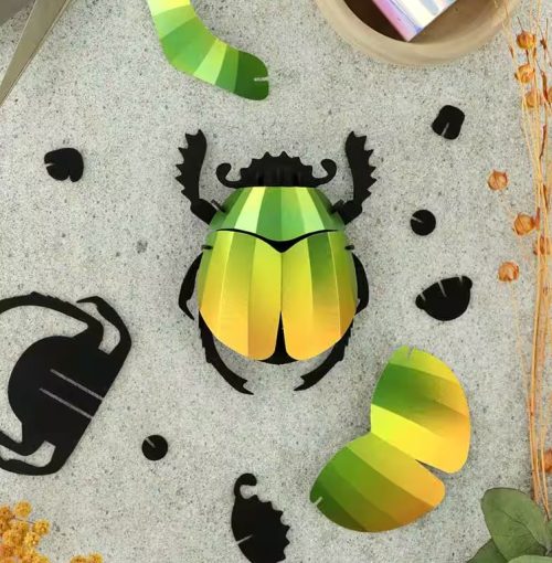 Scarabee Kever