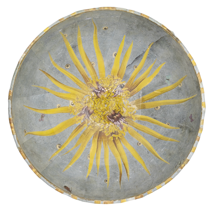 Schaal | La Blue Libellule Tournesol