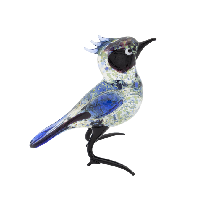 Glasvogel | Blauw-Zwart