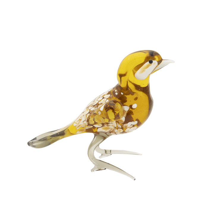 Glasvogel | Geel