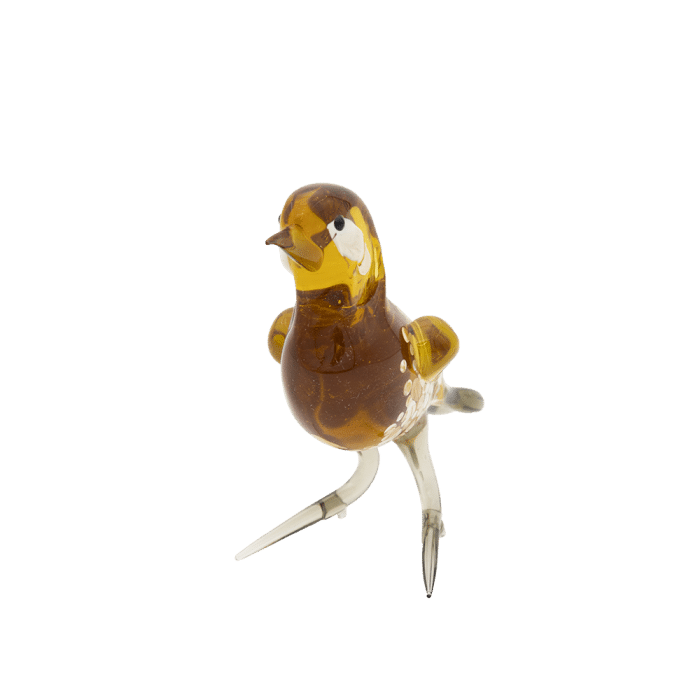 Glasvogel | Geel