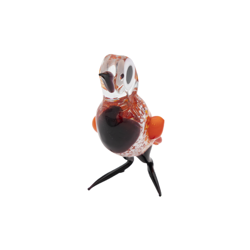 Glasvogel | Rood-Zwart