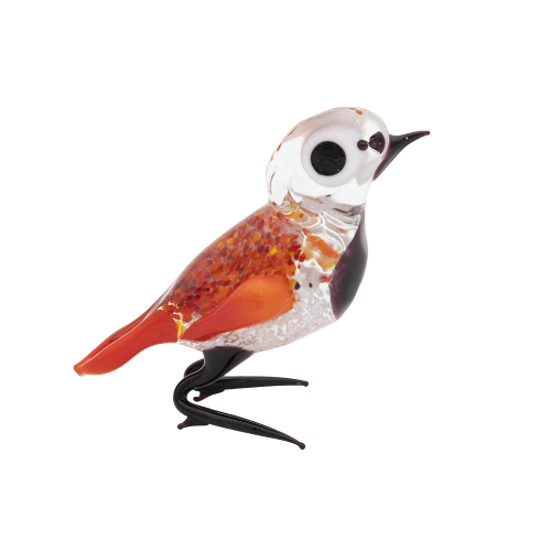Glasvogel | Rood-Zwart