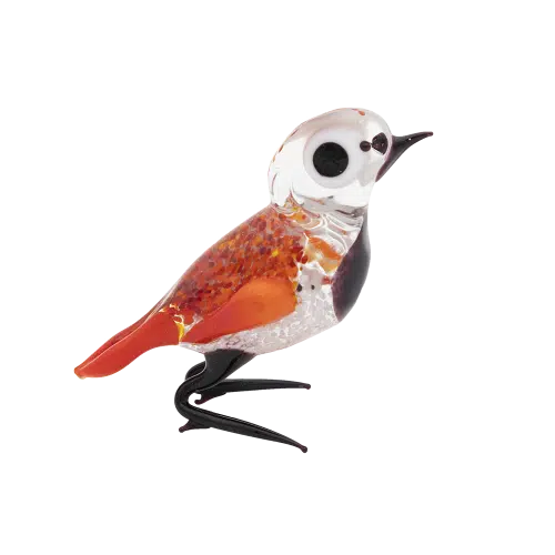 Glasvogel | Rood-Zwart