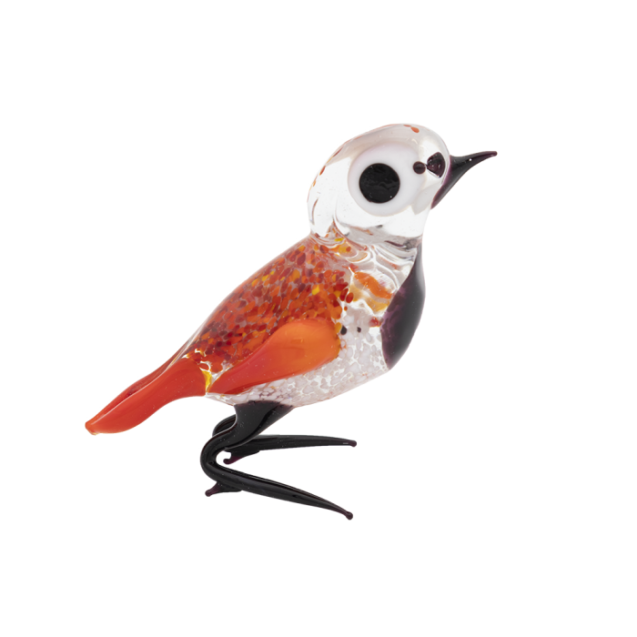 Glasvogel | Rood-Zwart