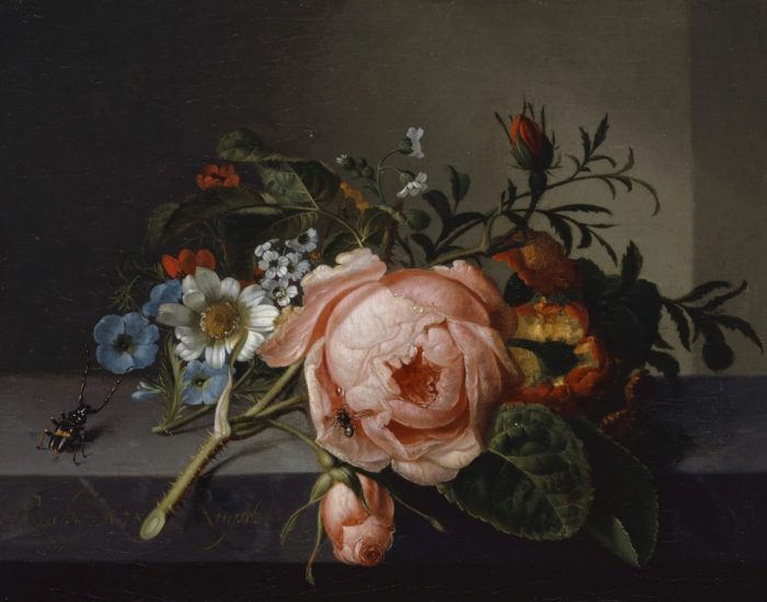 Kunstsokken | Rachel Ruysch