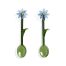 Lepelset | Flora