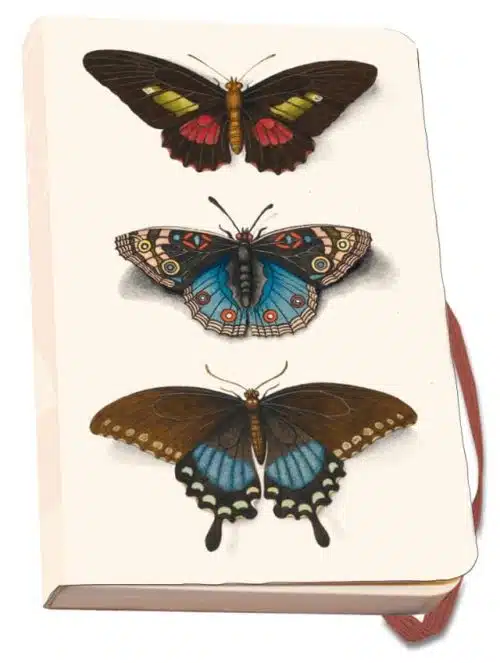 Notitieboek A6 | Vlinders