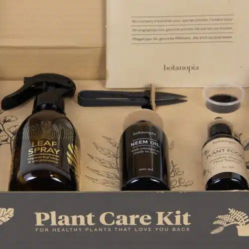 Plantverzogingskit