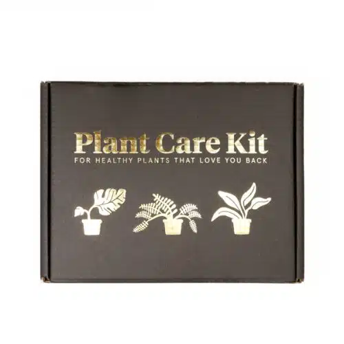 Plantverzogingskit
