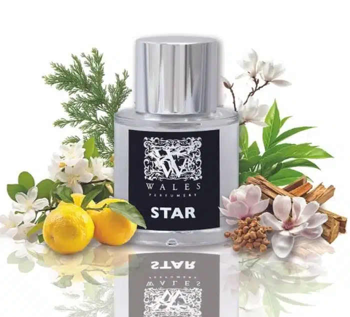 Wales Perfumery | Star - Seren