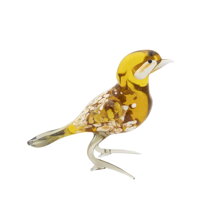 Glasvogel | Geel