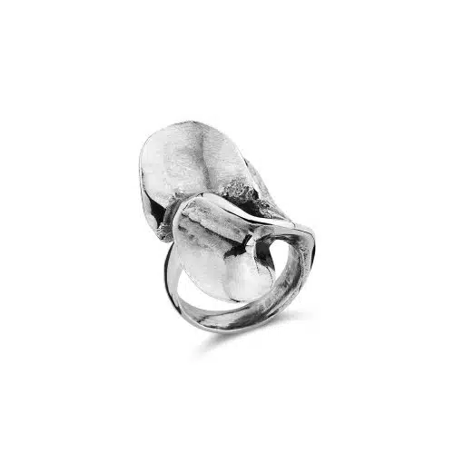 Ring | Harrie Lenferink
