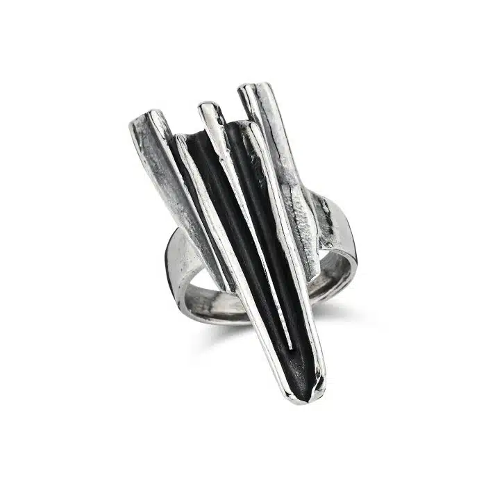 Ring | Harrie Lenferink