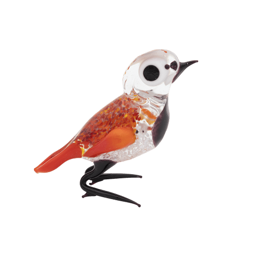 Glasvogel | Rood-Zwart