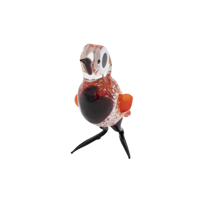 Glasvogel | Rood-Zwart