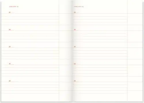 One line a Day