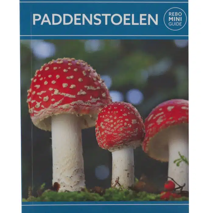 Paddenstoelen | Rebo mini quide