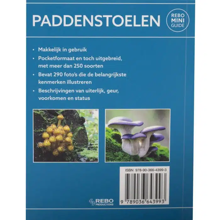 Paddenstoelen | Rebo mini quide