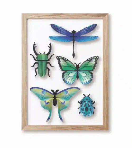 Set insecten