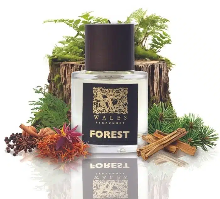 Wales Perfumery | Forest - Coedwig
