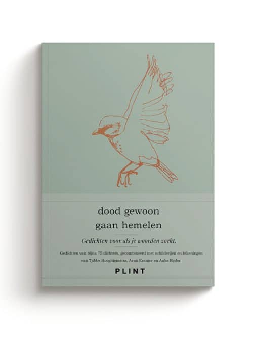 dood gewoon gaan hemelen