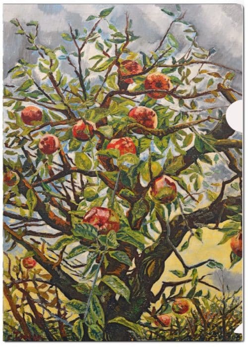 Insteekhoes | Takken met appels